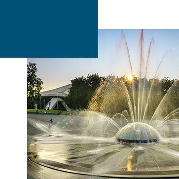 Top Insta-Worthy Favorites: Brunch, Boutiques & Experiences in Washington