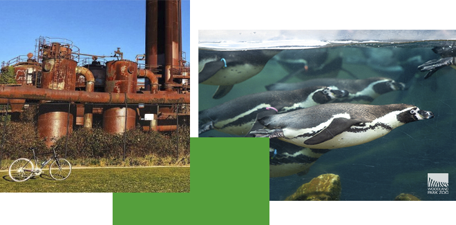 Best Family Biking Loops in Seattle: Fun Sights, Kid-Friendly Eats & Easy Rides