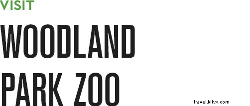 Best Family Biking Loops in Seattle: Fun Sights, Kid-Friendly Eats & Easy Rides