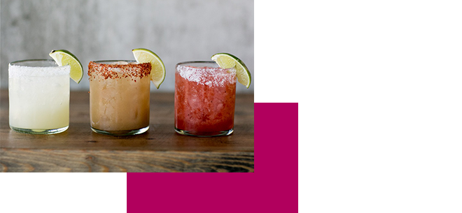 Best Family Biking Loops in Seattle: Fun Sights, Kid-Friendly Eats & Easy Rides