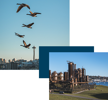 Best Family Biking Loops in Seattle: Fun Sights, Kid-Friendly Eats & Easy Rides