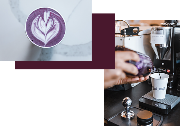 Discover Laura Clise s Intentional Favorites: A Guide to Seattle s Diverse Local Businesses