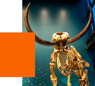 Discover Laura Clise s Intentional Favorites: A Guide to Seattle s Diverse Local Businesses