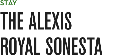 Chef Monica Dimas  Hidden Seattle Gems: Insider Itinerary