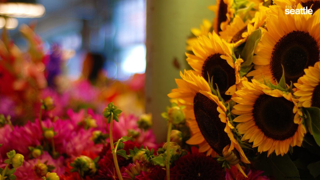 Stunning Seattle Zoom Backgrounds – Free High-Quality Downloads