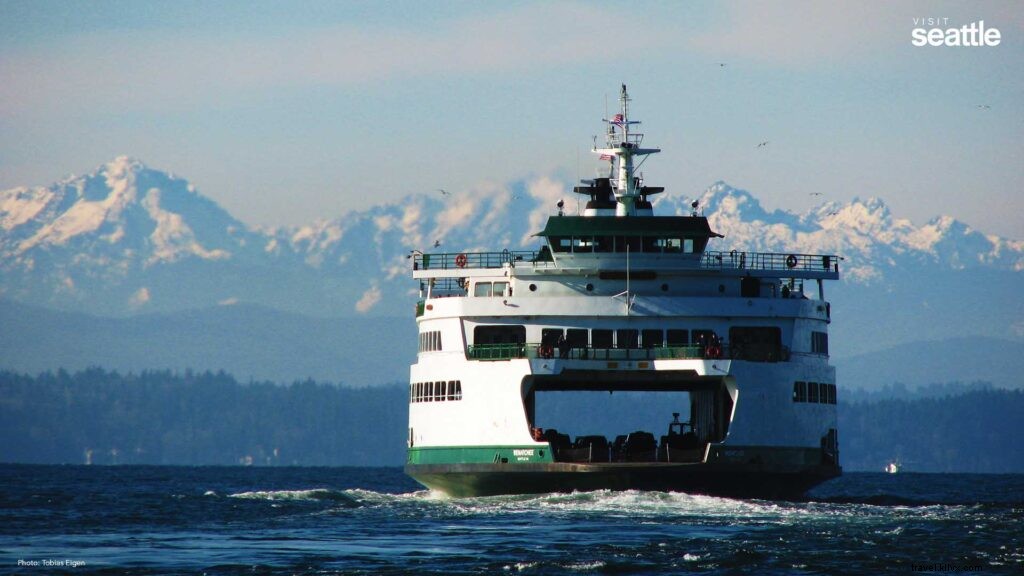 Stunning Seattle Zoom Backgrounds – Free High-Quality Downloads