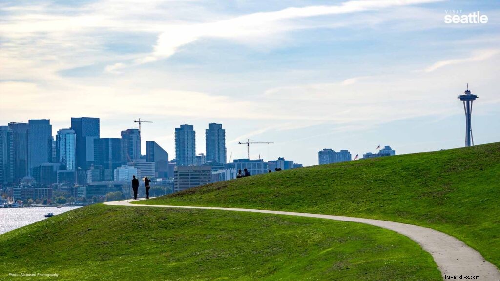 Stunning Seattle Zoom Backgrounds – Free High-Quality Downloads