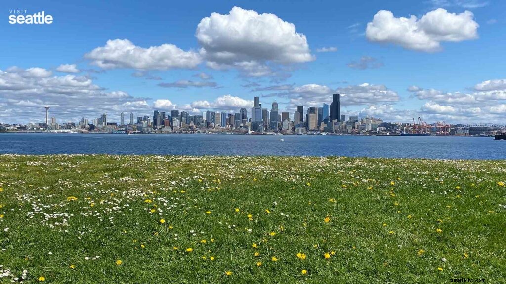 Stunning Seattle Zoom Backgrounds – Free High-Quality Downloads