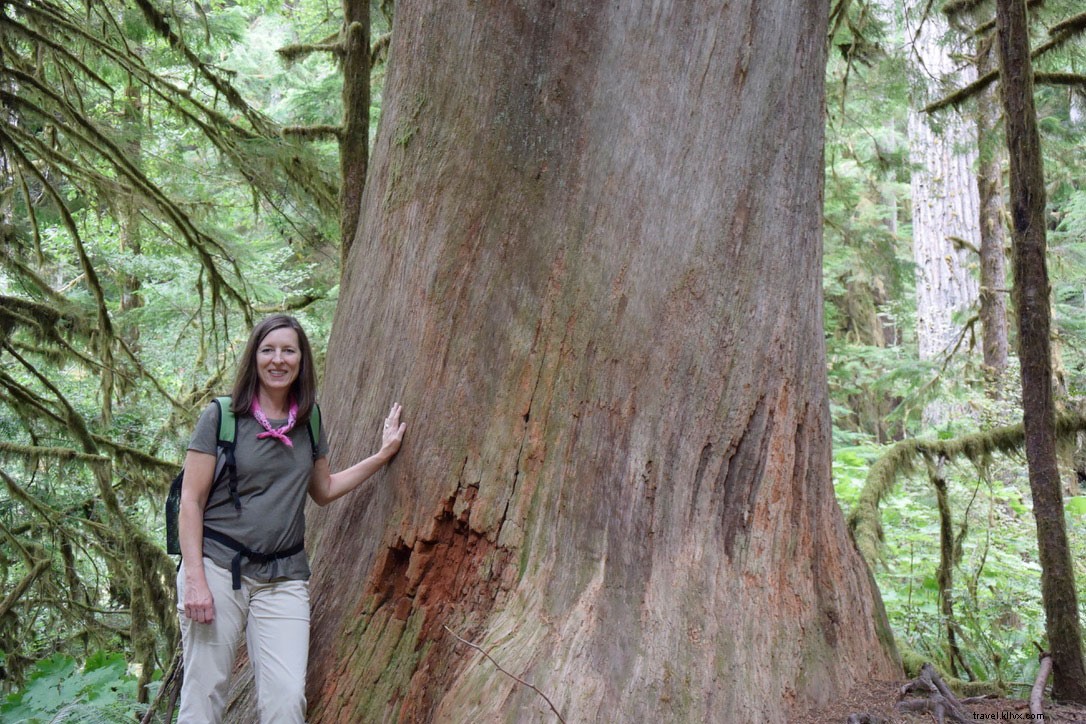 Discover Olympic National Park: Washington s Majestic Mountains Calling