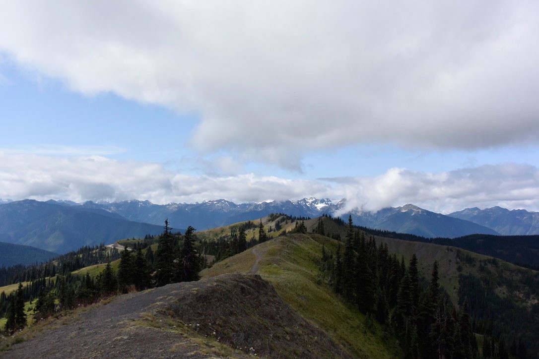 Discover Olympic National Park: Washington s Majestic Mountains Calling