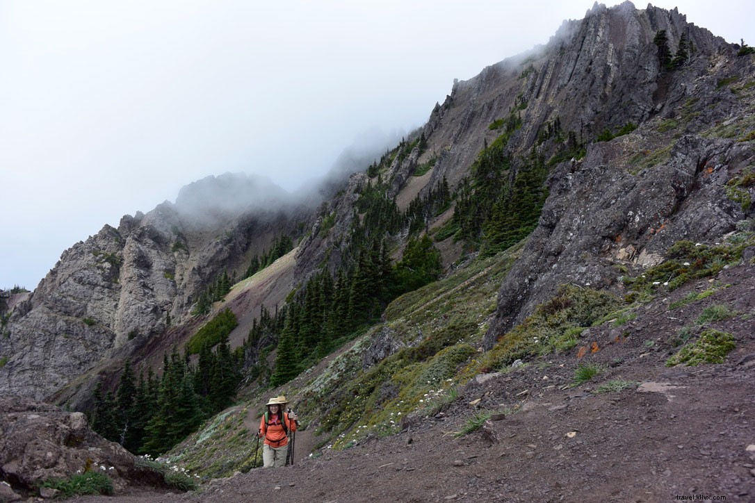 Discover Olympic National Park: Washington s Majestic Mountains Calling
