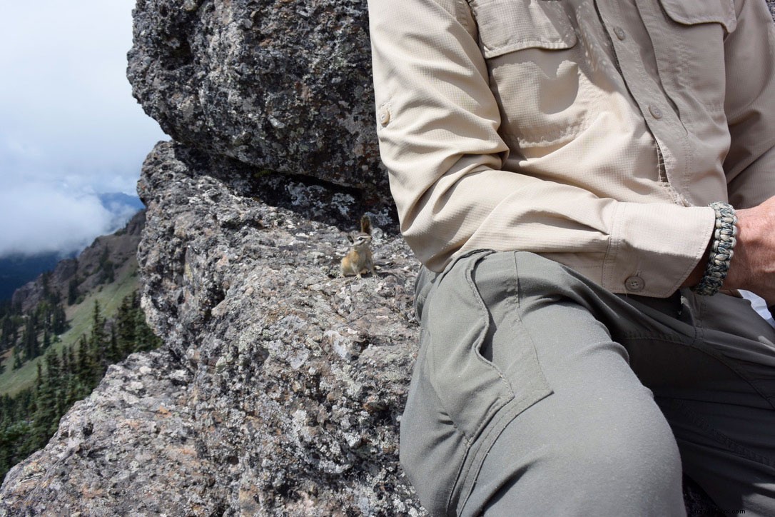 Discover Olympic National Park: Washington s Majestic Mountains Calling