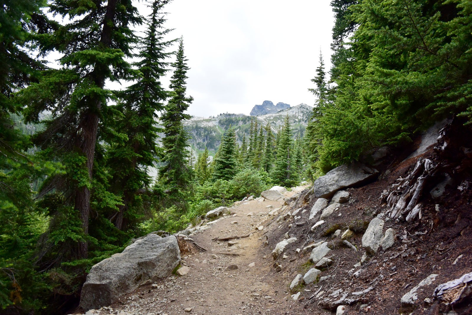 Discover North Cascades National Park: Washington s Rugged Alpine Paradise