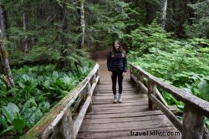 Discover Mount Rainier National Park: Washington s Majestic Crown Jewel