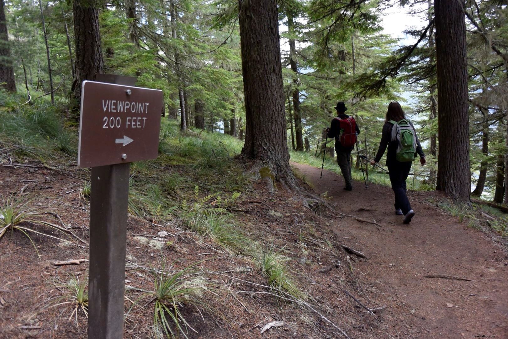 Discover Mount Rainier National Park: Washington s Majestic Crown Jewel