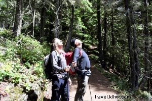 Discover Mount Rainier National Park: Washington s Majestic Crown Jewel
