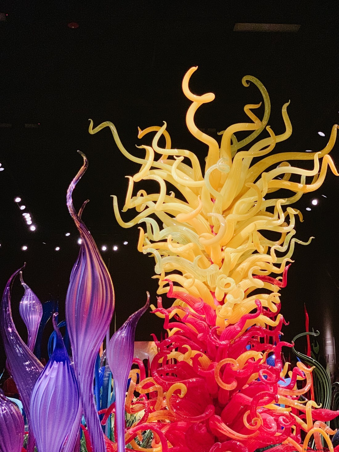 Discover Seattle s Top Attractions with CityPASS: Save Time & Money