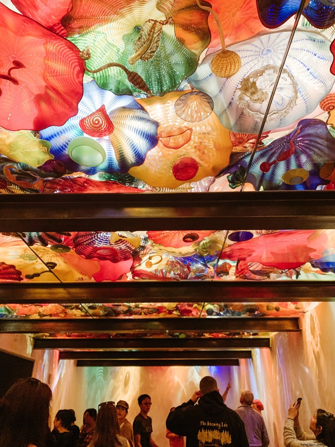 Discover Seattle s Top Attractions with CityPASS: Save Time & Money