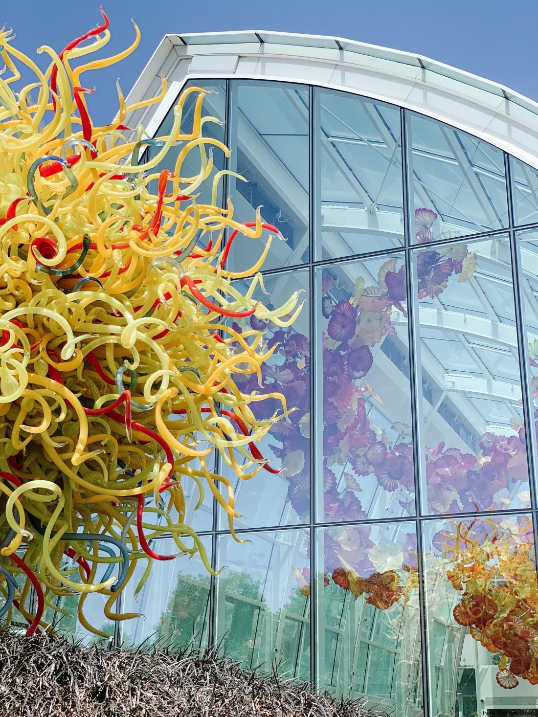 Discover Seattle s Top Attractions with CityPASS: Save Time & Money