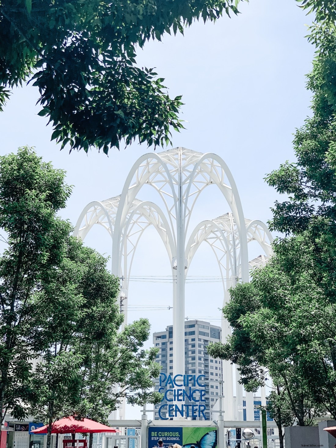 Discover Seattle s Top Attractions with CityPASS: Save Time & Money