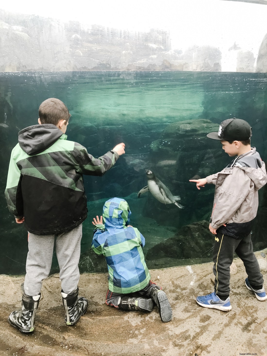 Discover Seattle s Top Attractions with CityPASS: Save Time & Money