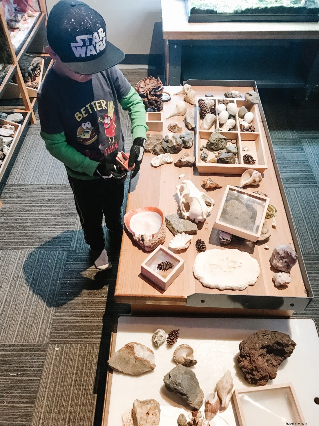 Discover Seattle s Top Attractions with CityPASS: Save Time & Money