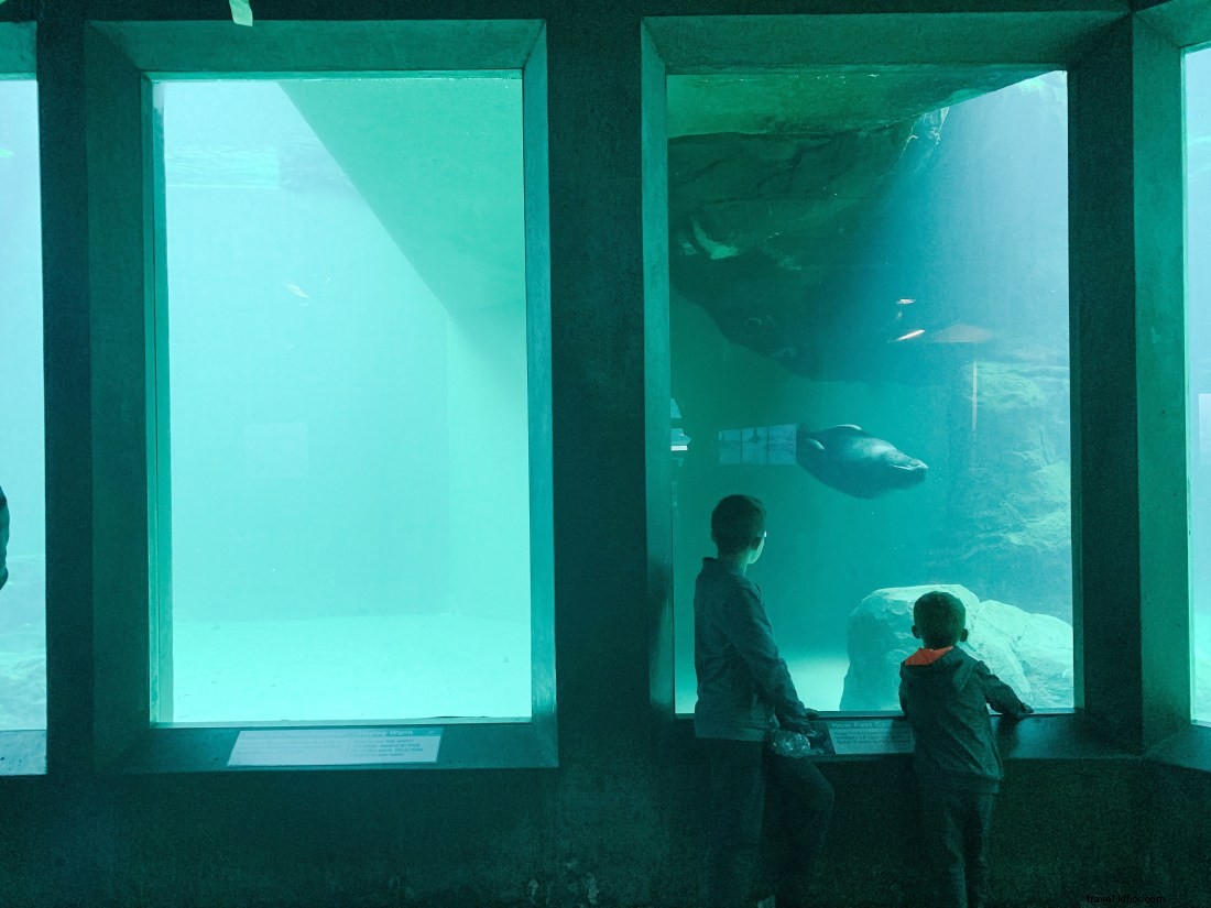 Discover Seattle s Top Attractions with CityPASS: Save Time & Money