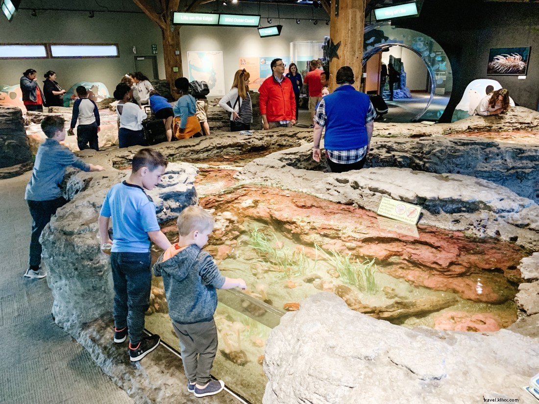 Discover Seattle s Top Attractions with CityPASS: Save Time & Money