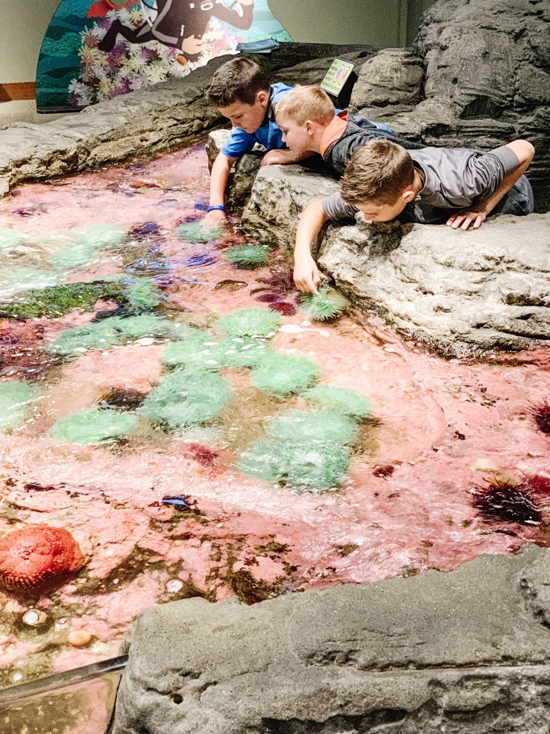 Discover Seattle s Top Attractions with CityPASS: Save Time & Money