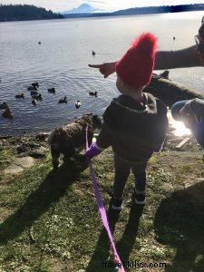 Best Easy Hikes for Toddlers in the Pacific Northwest