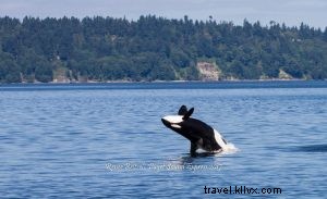 Make Your Travel Resolution Stick: Plan More Vacations This Year