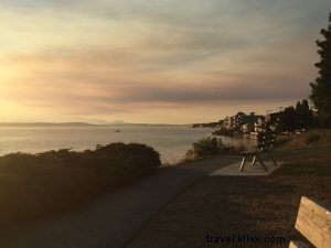 Discover Seattle s Hidden Parks and Stunning Scenic Viewpoints