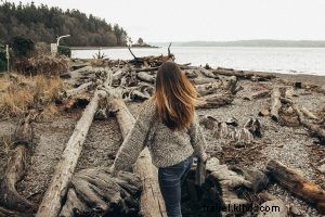 Discover Seattle s Hidden Parks and Stunning Scenic Viewpoints