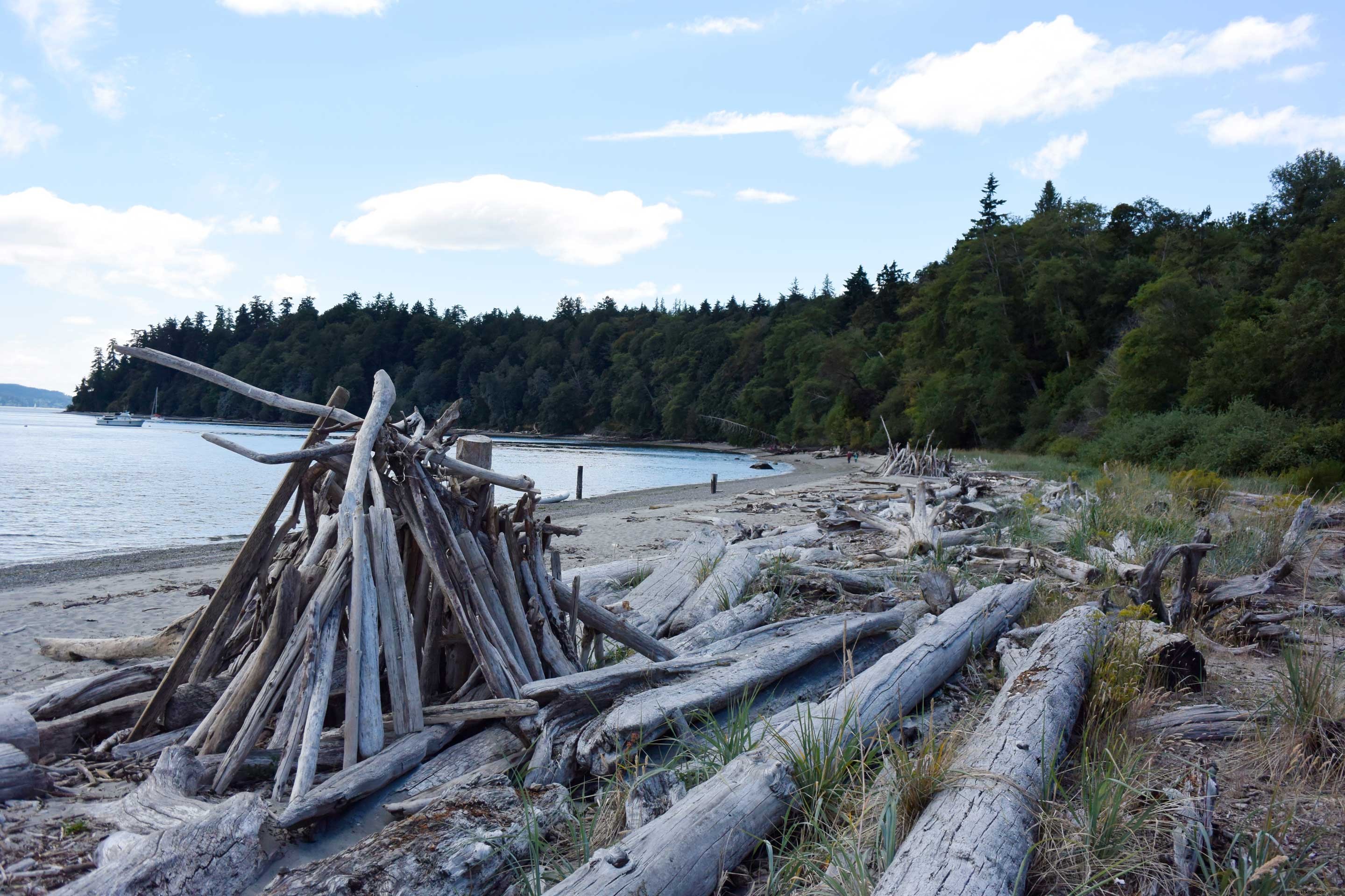 Discover Cultural Adventures on the Tillicum Excursion with Argosy Cruises