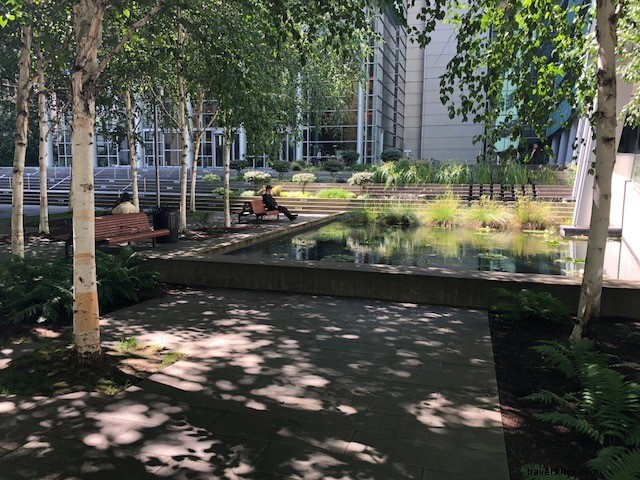 Seattle s Best Lunchtime Escapes: Urban Oases for Summer Refreshment