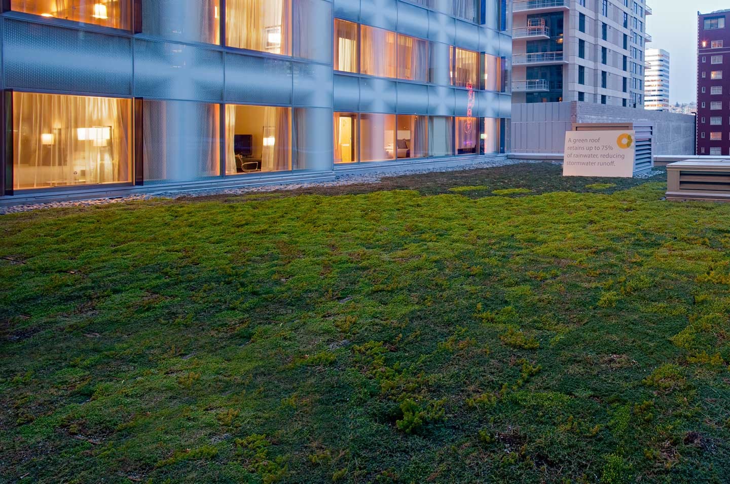 Top Eco-Friendly Hotels in Downtown Seattle for Sustainable Stays