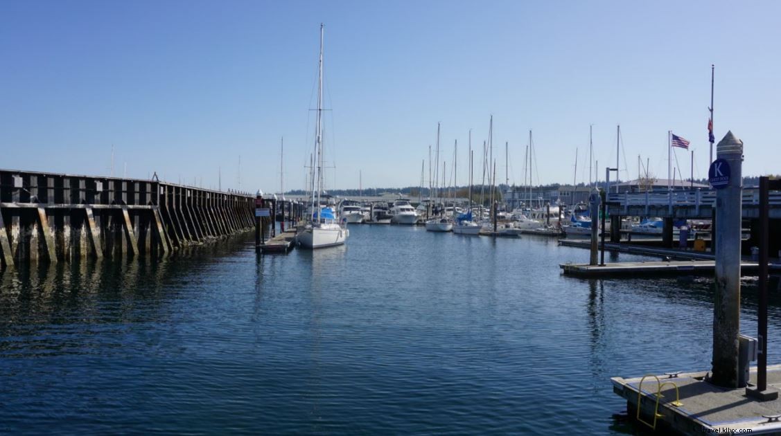 Unforgettable Whale Watching Tours with Puget Sound Express