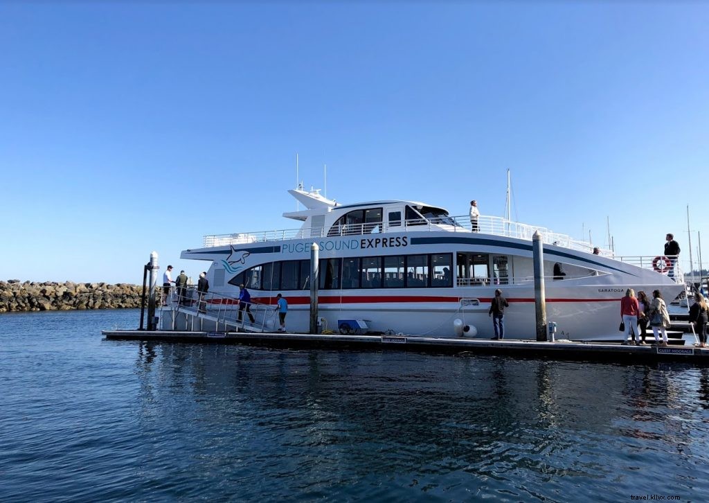 Unforgettable Whale Watching Tours with Puget Sound Express