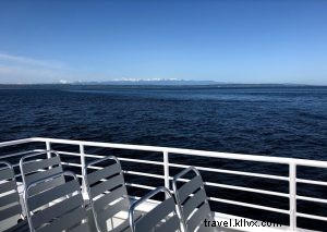 Unforgettable Whale Watching Tours with Puget Sound Express