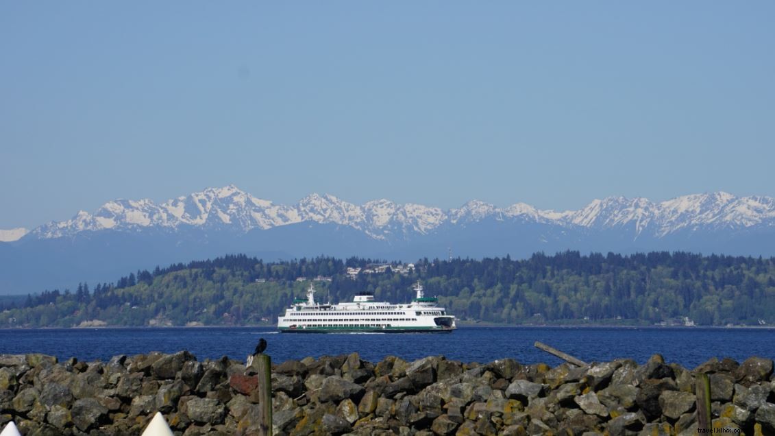 Unforgettable Whale Watching Tours with Puget Sound Express