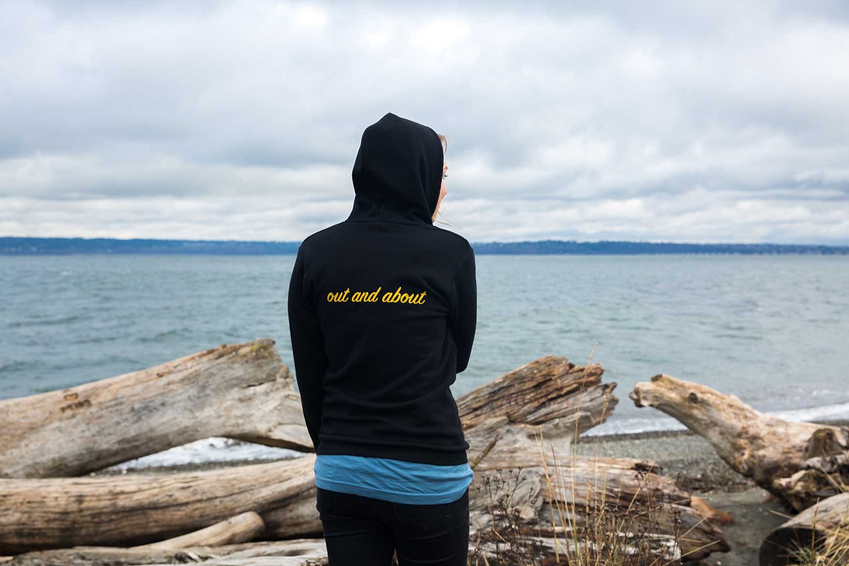 PacWesty: Rising Star in Pacific Northwest VW Camper Van Adventures