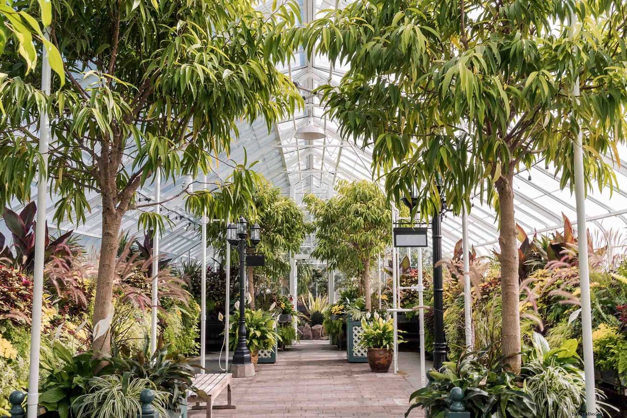 Insider s Seattle Guide: Secrets from a 16-Year Local Resident