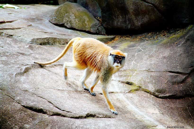 Seattle Museum Month Guide: Top Museums & Spots to Explore in the Emerald City