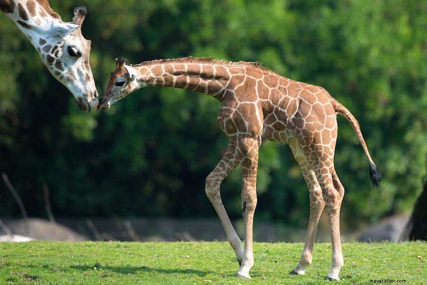 Discover Seattle Museum Month: Free Admission & Events in February