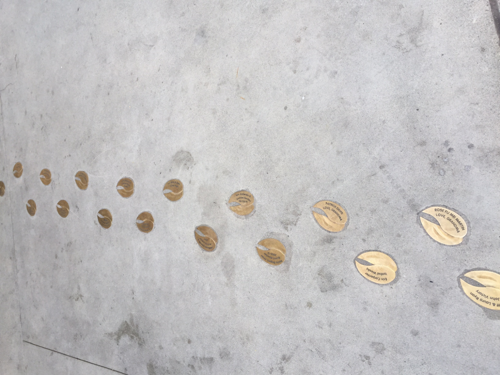 Discover Pike Place Market s Stunning New MarketFront Expansion