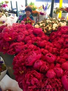 Taking Seattle by Storm: Carolyn Swords  Guide to Exploring the Emerald City