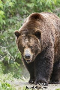 Ultimate One-Day Seattle Itinerary: Top Attractions & Insider Tips