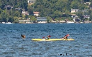 Top 5 Seattle Waterfront Spots for Drinks and Boat Watching This Summer