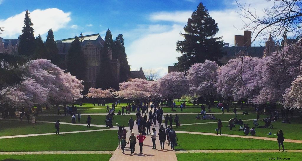 From Hawaii s Paradise to PNW Gem: Why I Chose Seattle