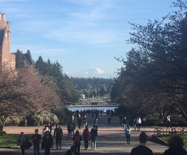 From Hawaii s Paradise to PNW Gem: Why I Chose Seattle